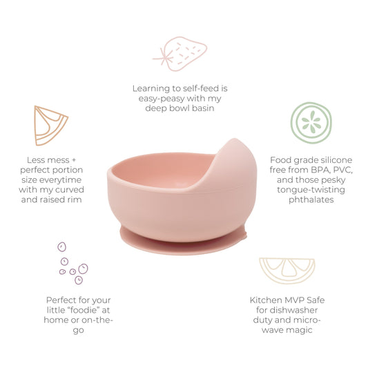 Bite Size Bundle The Baby's Brew