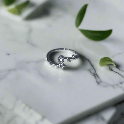Hypoallergenic 925 Sterling Silver Open Star Zircon Ring - Adjustable Celestial Jewelry - Amtikiss Casuals